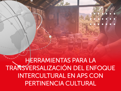 HERRAMIENTAS PARA LA TRANSVERSALIZACIÓN DEL ENFOQUE INTERCULTURAL EN APS